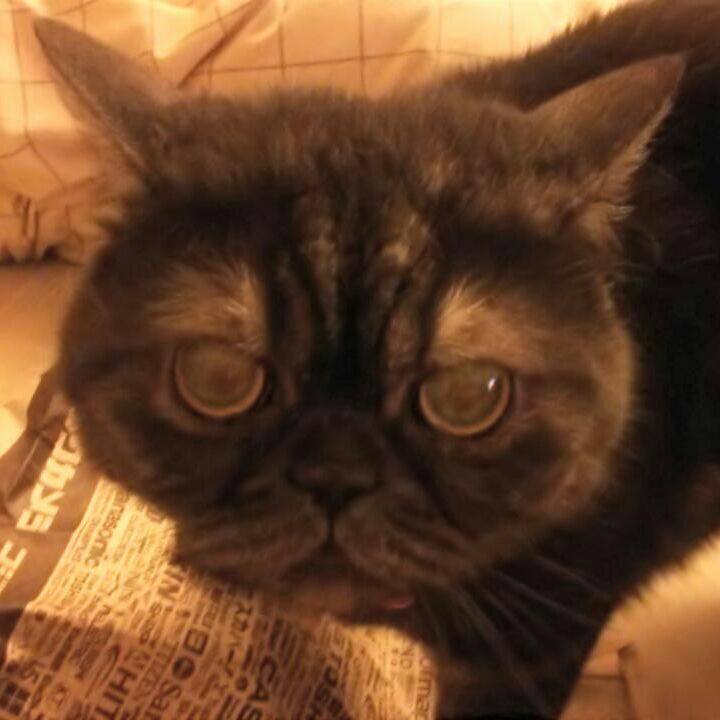 9fb64047 b4e1 4931 aa02 0d0b68e2687b 1528198754956