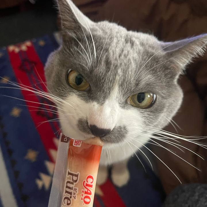 9fb64693 cd29 4dfe ad81 34673b6cfd1d 1669271239701