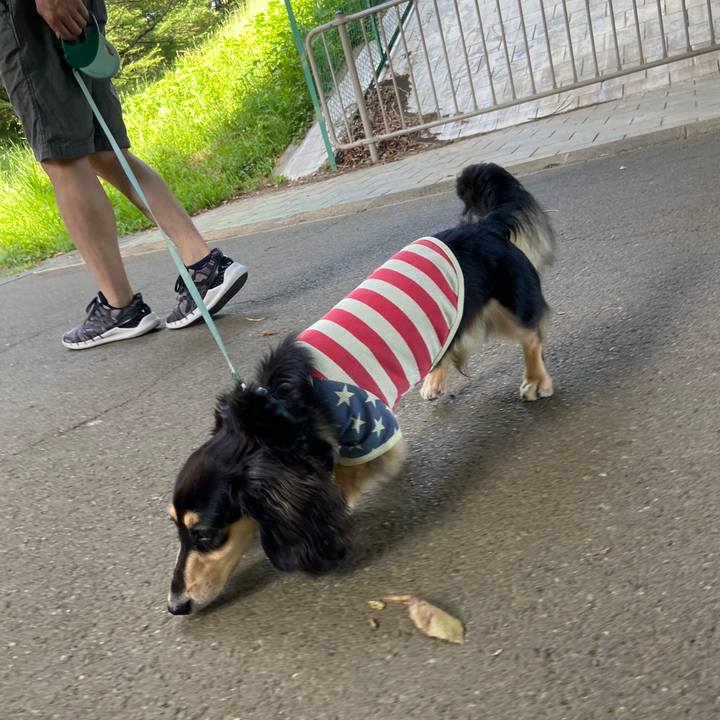 9fb6713b afd0 458d 8841 823b231f8249 1688685075338