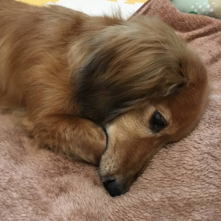 9fb67d0c b32d 4e72 98dc c5e9037c428a 1592127738953