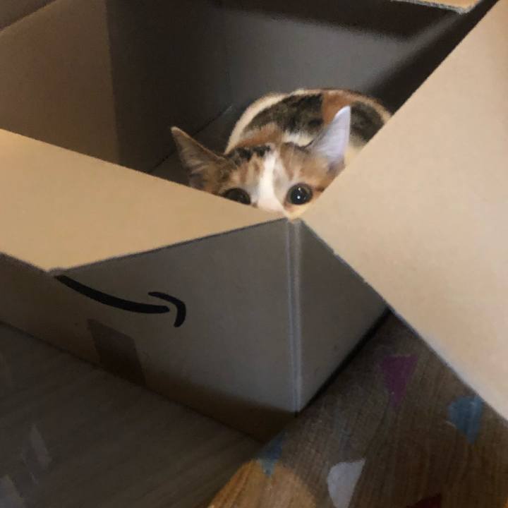 9fb68612 f033 4b26 bfe1 1d47b6963335 1580773083890