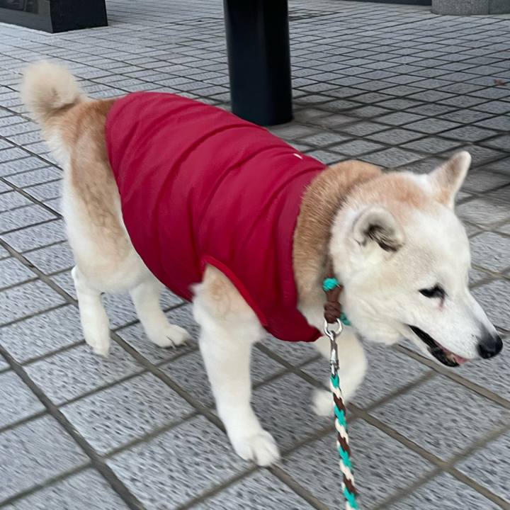 9fb69e0c 7104 4b16 bc90 c86c08a942e9 1706012329064