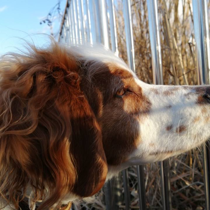 9fb6a73b 41a0 4189 92f9 bfadfa7f8ef7 1610180511654