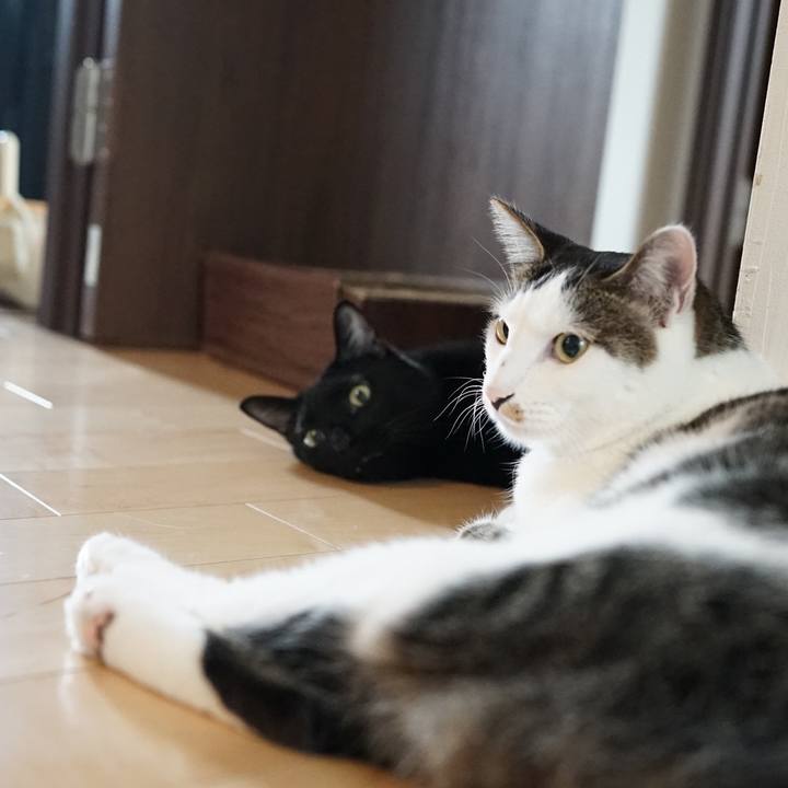 9fb6cb45 d7ea 464e 9889 1f5d4a3f33e0 1565739947130