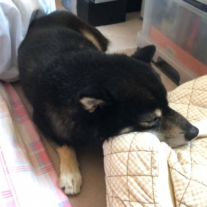 9fb74a67 8c83 4473 aad9 3ef7687c7c15 1555367596798