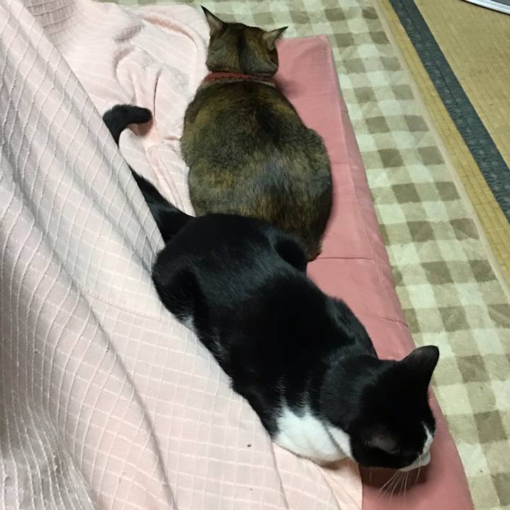 9fb751b5 dc70 4f0f af3e 6f0ae125f9c1 1642414192504