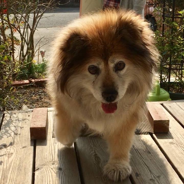 9fb784fc fba0 4e4a b0ed 86f69cd64699 1570836092825