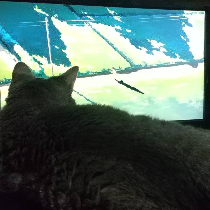 9fb7870c 2841 48a6 95d2 4ad2532f8139 1660916006879