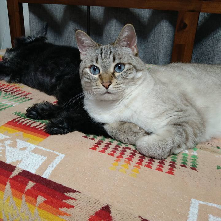 9fb7bfdb c0ef 4843 a4c6 1f8ecf25ab3c 1717596084668