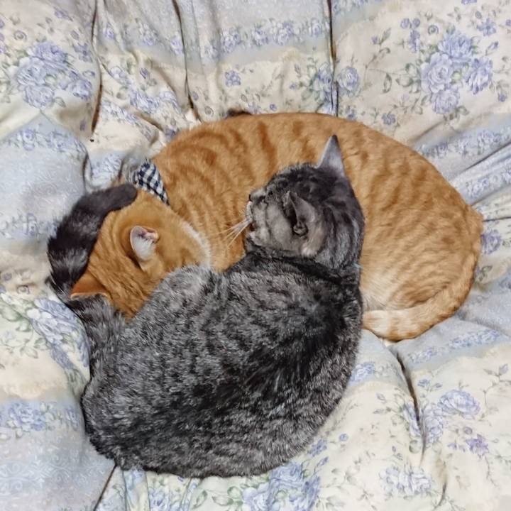 9fb7cf3c 42a7 4b0f a130 d552d0120fbb 1575721717195