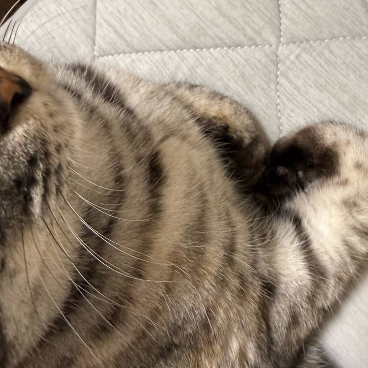 9fb8327c 0d92 4d9b a2aa 31ef297fd683 1759587455127