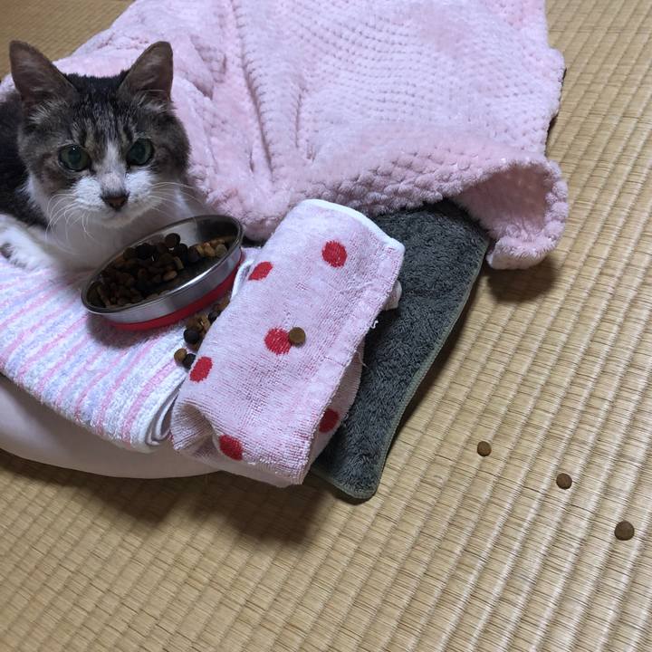 9fb836ee d7d2 4c54 9b7a a51b08f1a88c 1567946805640