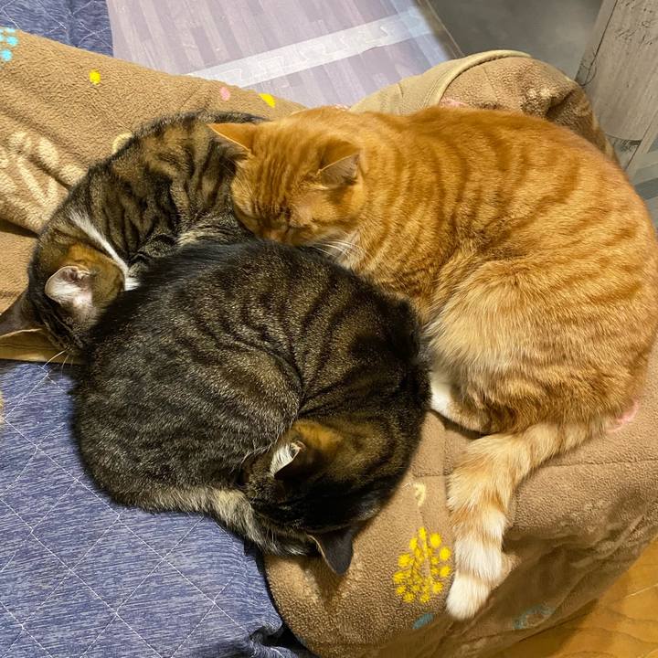 9fb89a7e 6e47 4fee 9d04 fe0e069446b5 1640812313278