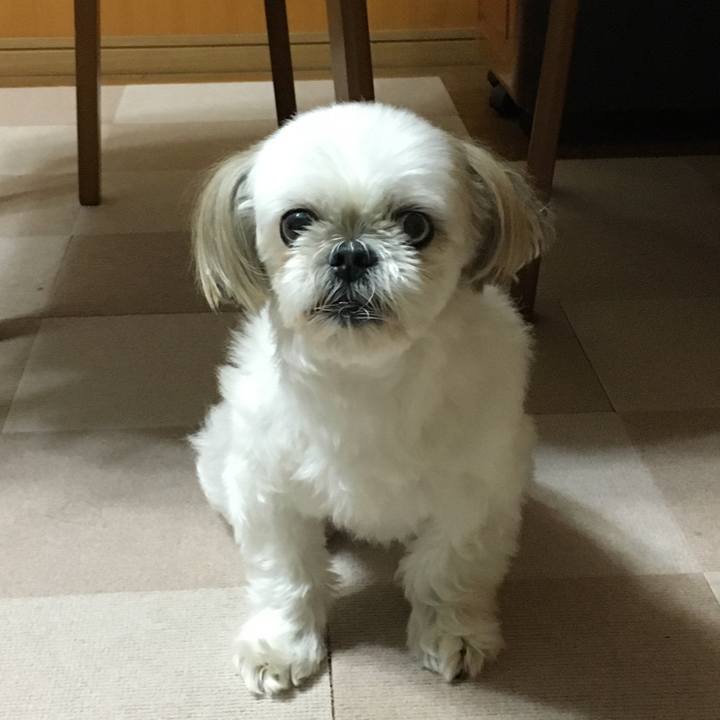 9fb8af46 0284 42ee b0ea c4754b95a3bf 1599660971197