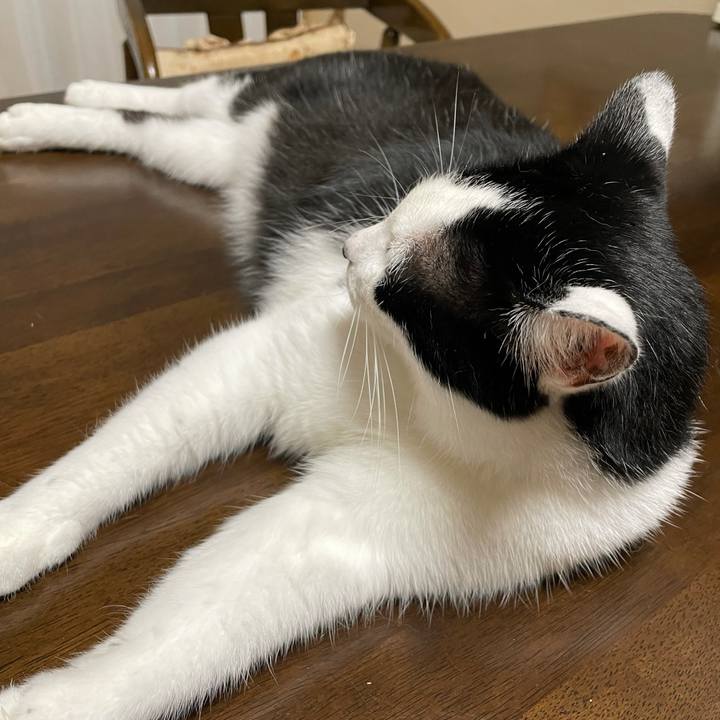 9fb8af7b c028 421a a7c1 153505b08f27 1627132787787