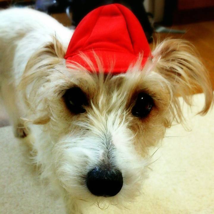 9fb8e91f 5de0 462c 9652 71df824236d0 1521293481817