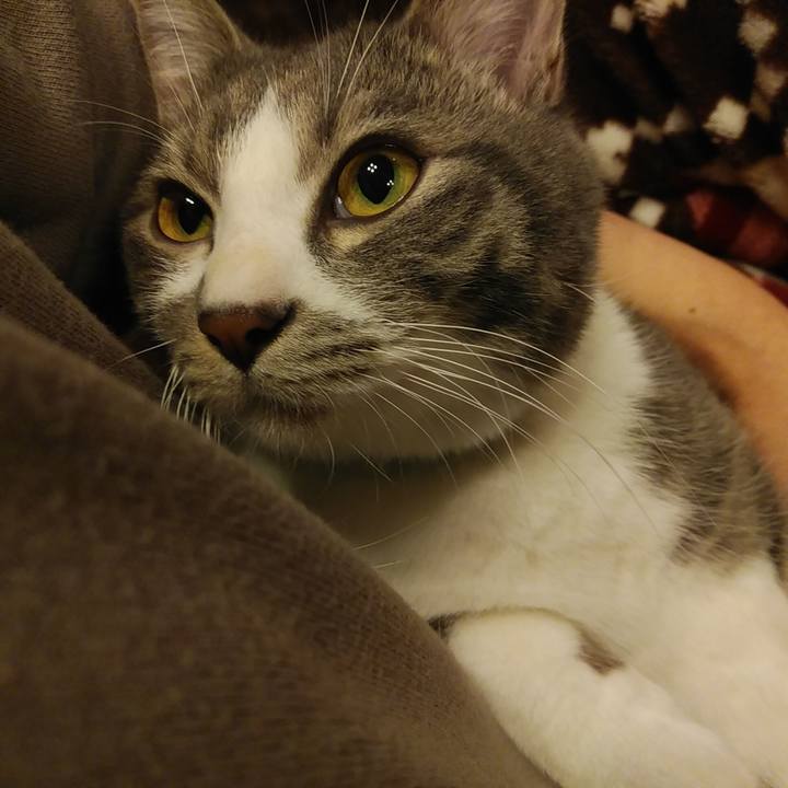 9fb95cd0 2f17 48fd b112 248ce6cedbc9 1580747096930