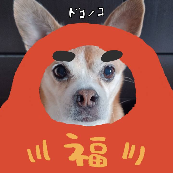 9fb9a8d0 e6cc 4057 b1e6 67f1ede0cf2a 1772406544907