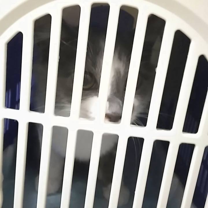 9fb9b048 1aa6 46df 8bb4 b7690f4de6c7 1566466402887