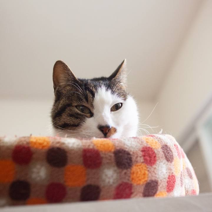 9fba1aa5 4771 444e 91ba c14a587d92a2 1548680262890