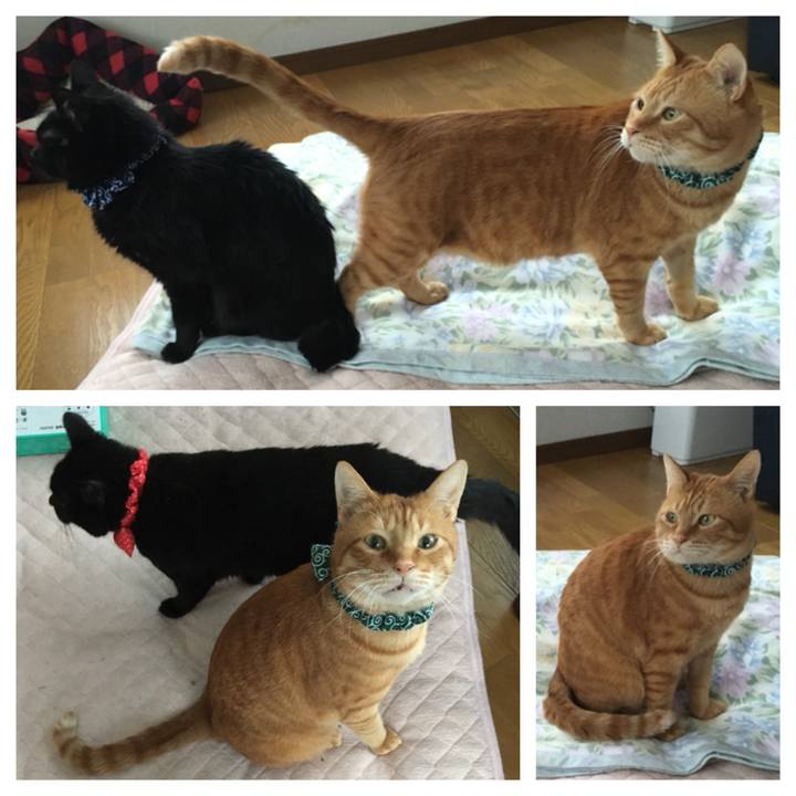 9fba3e3d f2f9 4eab 91b5 3fa4e6cdab98 1546210071964