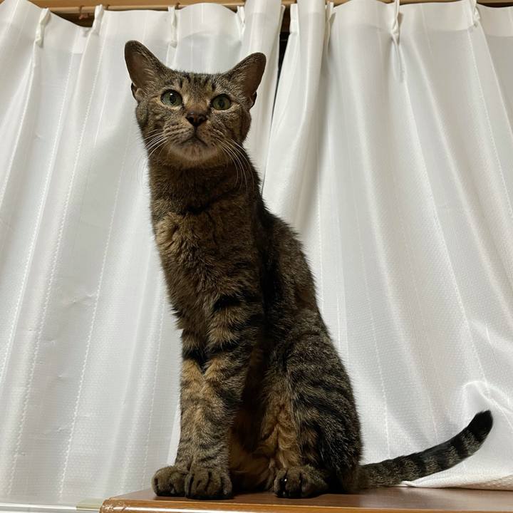 9fba6ef0 bf43 4b66 8cdb 6574fe794e98 1624066906786