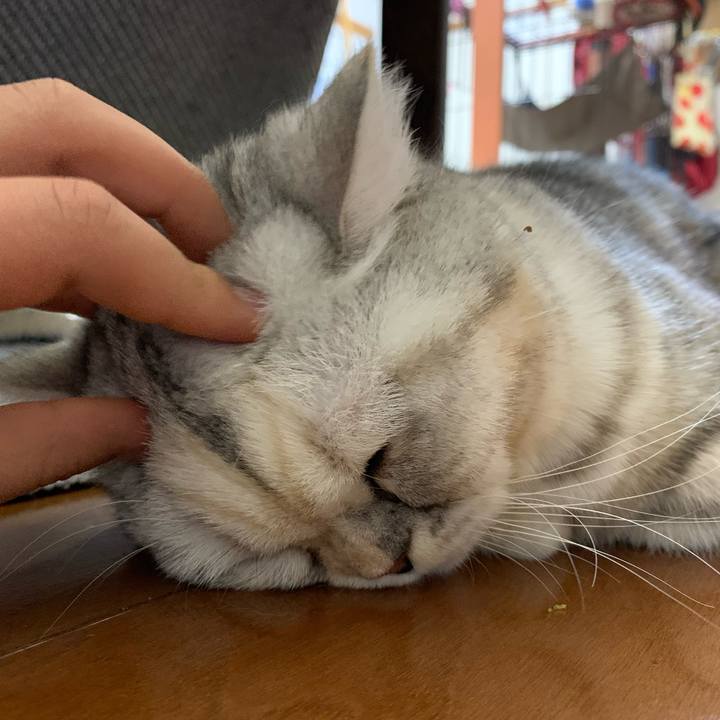 9fba74f8 998d 4f62 8dac 67b6b7e9140f 1705223523131