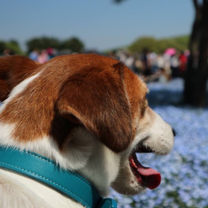 9fba75e5 df79 419f 896c fdaa81e10bb0 1524392502875