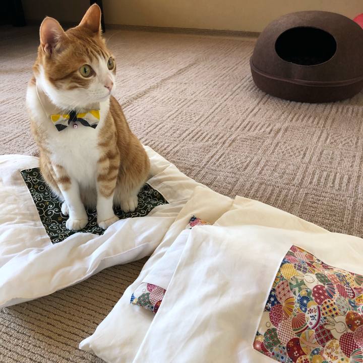 9fba8b0f 1a4d 4501 bb3e f1df1947c735 1558927663279