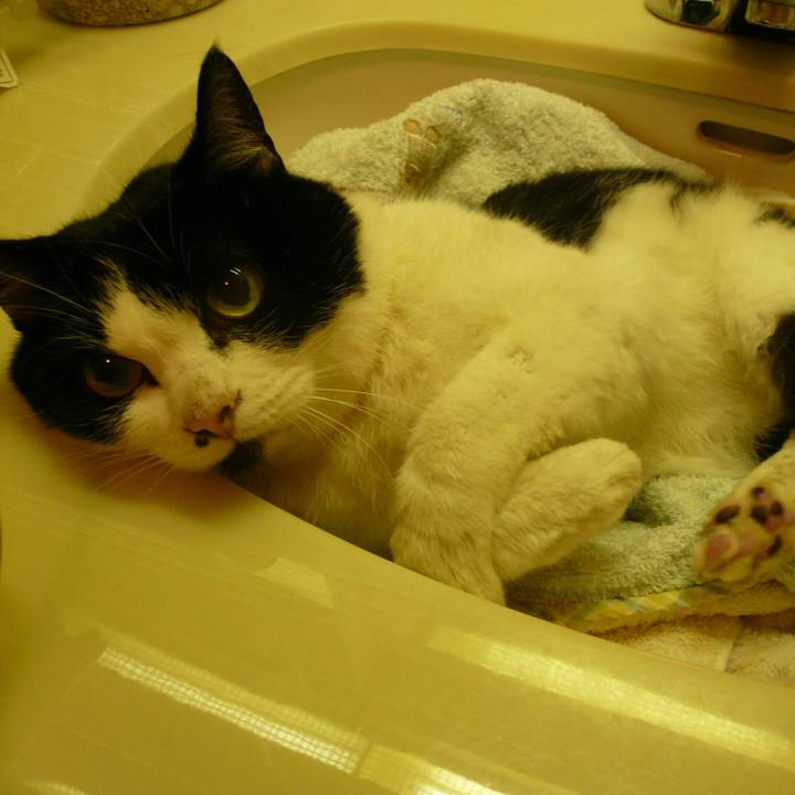 9fbab4d5 2050 4cd5 84b5 c81a80d3e473 1612400230366