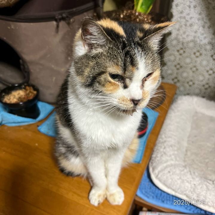 9fbb05a5 153c 48ac b461 f0e4d879140c 1766613913475