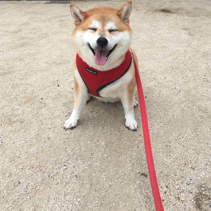 9fbb3a65 b052 459f 90d3 cb61ed5ce5bc 1599871695945