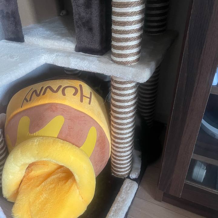 9fbb3f1c 5f92 444b b3de 72eded331bcd 1690442098338