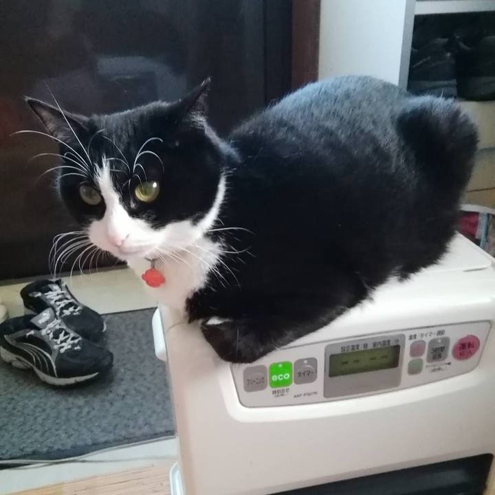 9fbbc53e 75de 4572 aa8b c1ce5332d4f5 1607347928478