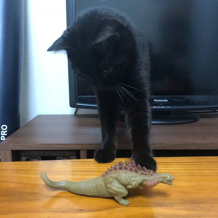 9fbbdee2 f3d2 488a b5a6 6c037875c97c 1514300934528