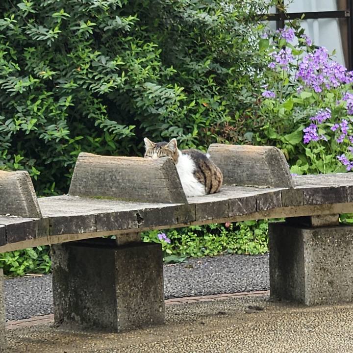 9fbbf54f ad71 40d0 86ef 998a0127a339 1712373422814