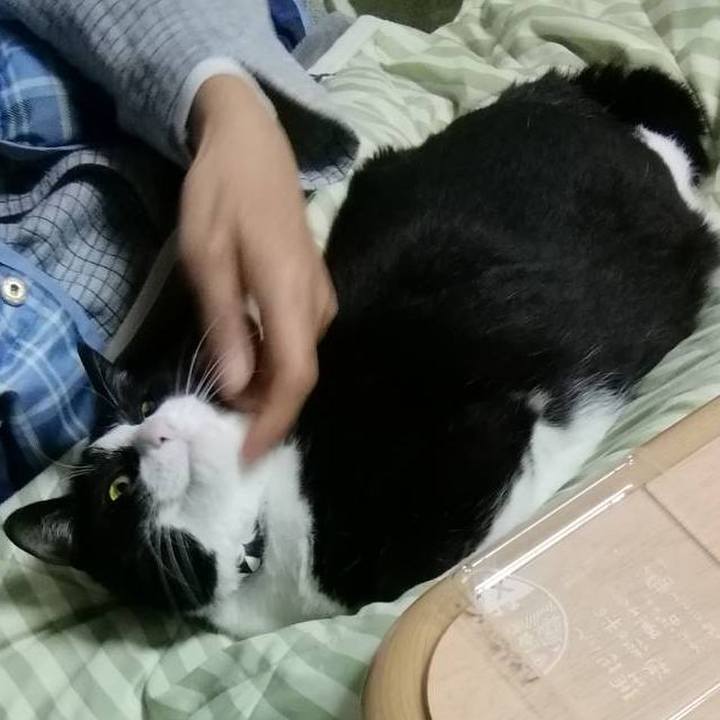 9fbc0e0e dbb7 4e90 8532 1888cad59cf7 1616643766853