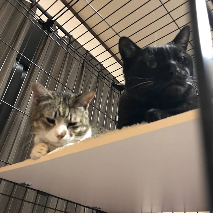 9fbc44f4 e814 42aa 9f49 b2059c3bd6d3 1518093220054