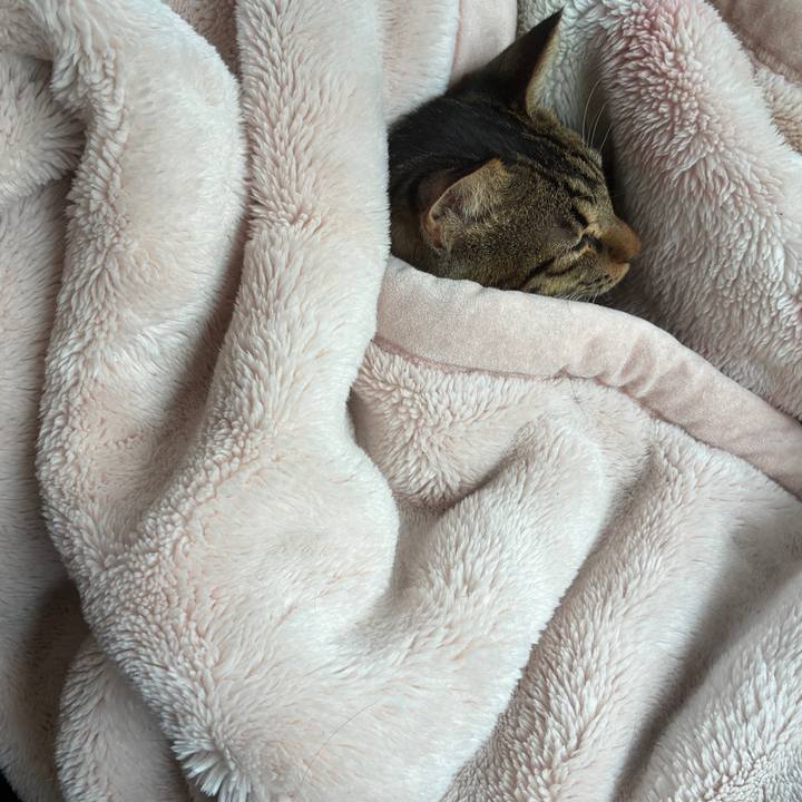 9fbcd4af 5448 41de ba60 b1c15b2b1401 1757806632466