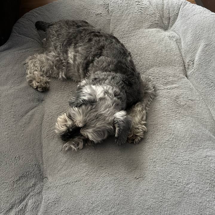 9fbcd8e2 fa3c 4d13 ac4c a98535e3244e 1706927981326