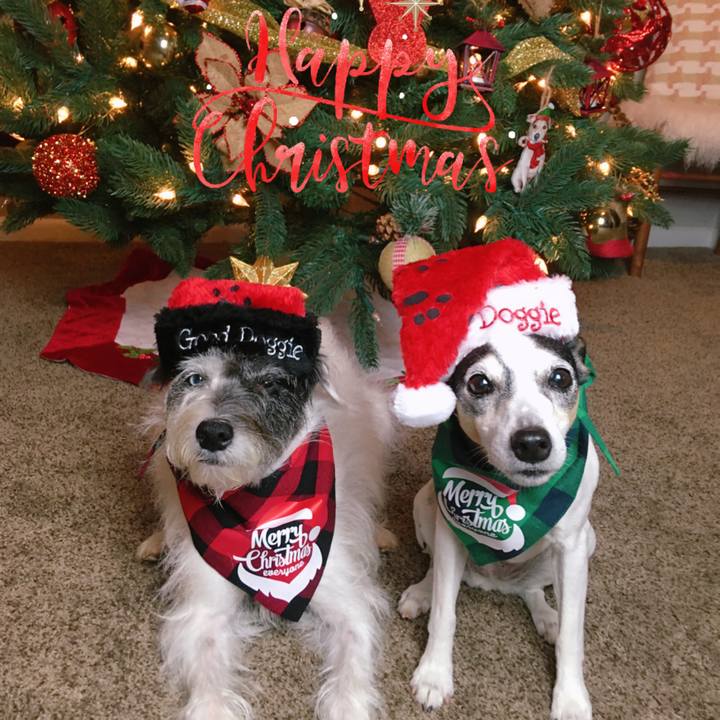 9fbd116c d93f 4c54 a3a4 6eb7bbba579b 1577225073013