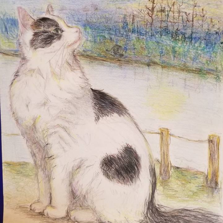 9fbd3598 b8b3 49eb 8cf7 a3fb90109a9e 1587541177659