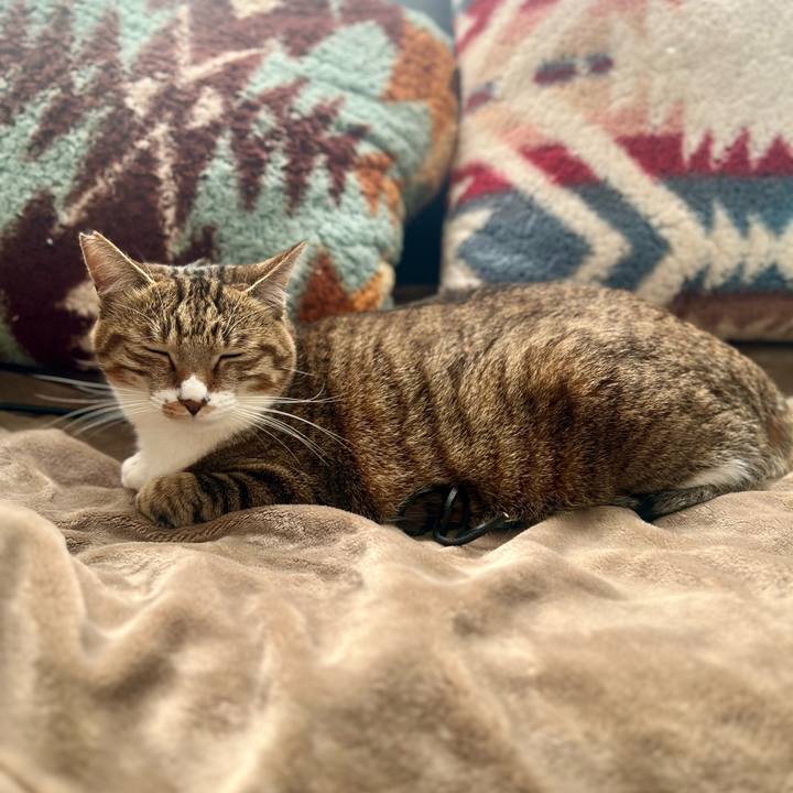 9fbd57e4 153a 462f adfb a287e65d1d6a 1765280261407