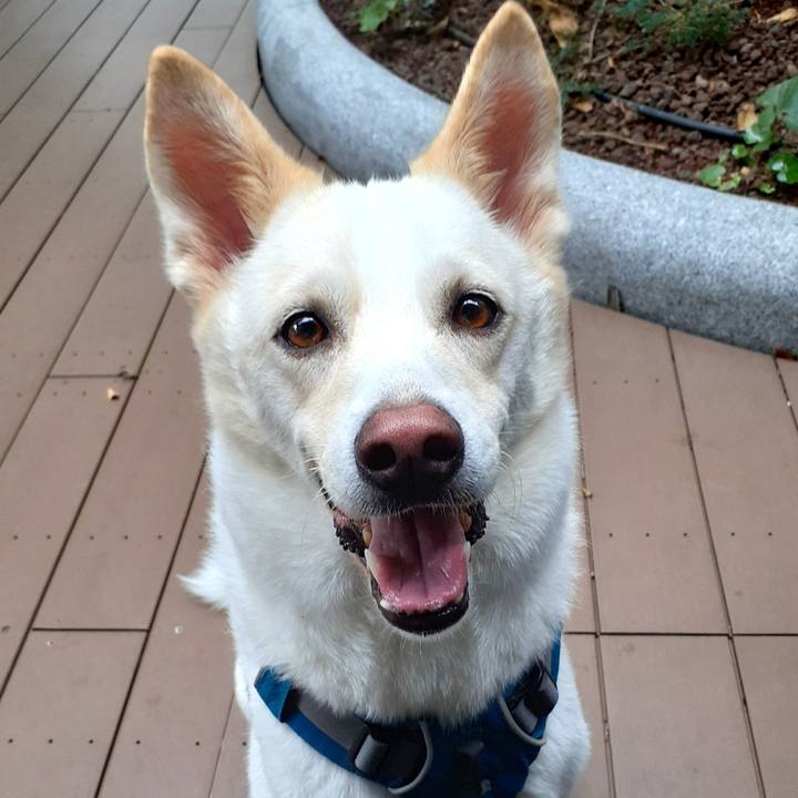 9fbd5da4 b678 4f30 9544 482a2bbc6bc7 1632622712793