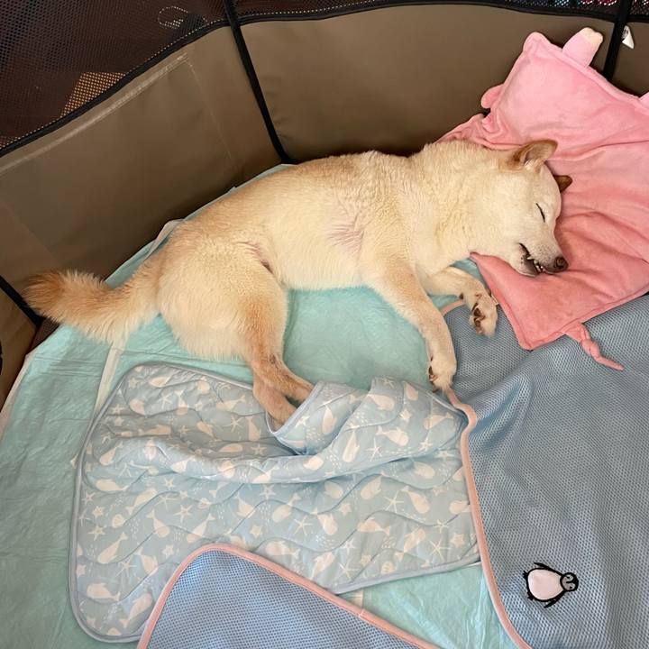 9fbd774c 3924 41a4 82f2 1ff14b3b9214 1657716211684