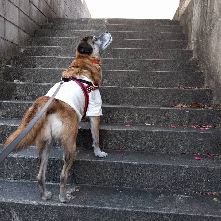 9fbda34e 9223 4b55 976f 0432b89a280d 1708303156503