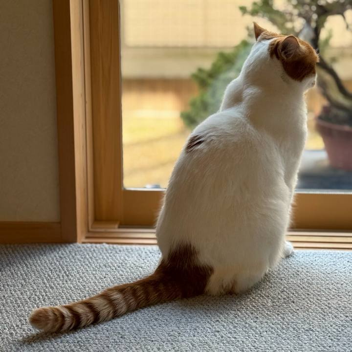 9fbda73b b2fa 4f51 9d08 44ac60f7fa66 1764126426167