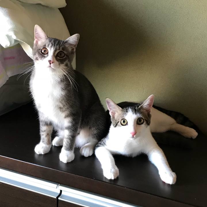 9fbdd381 cdc0 4718 9ed5 0d3dc13bd94f 1535884535912