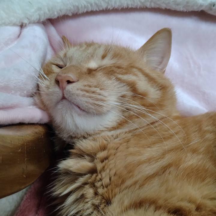 9fbde042 0cd0 4938 bf6d 7744b4522102 1672626999028