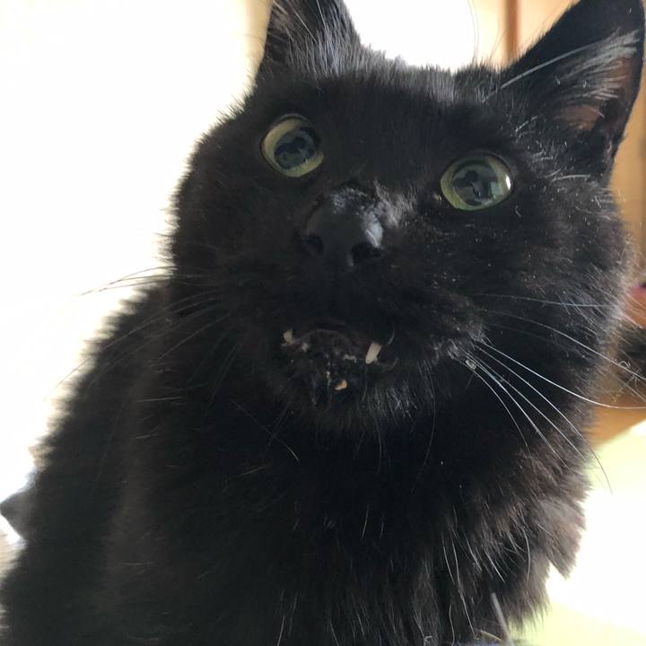 9fbe0b8e 393e 44fd bd61 a937eec92235 1633125671498